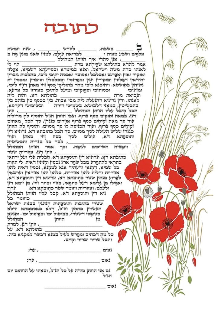כלניות אדמדמות